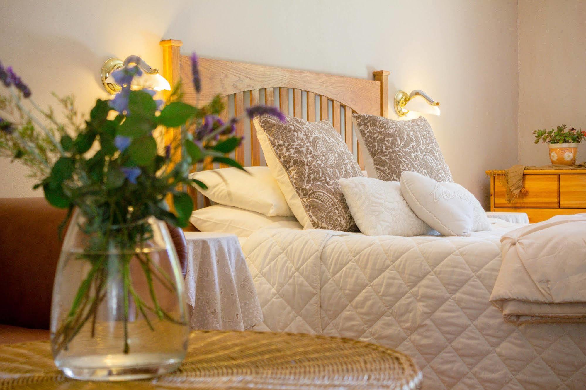 Adley House Bed & Breakfast Oudtshoorn Dış mekan fotoğraf
