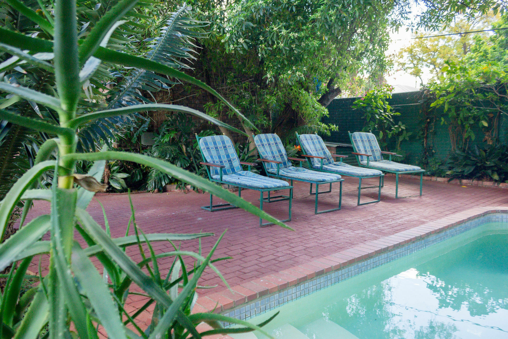 Adley House Bed & Breakfast Oudtshoorn Dış mekan fotoğraf