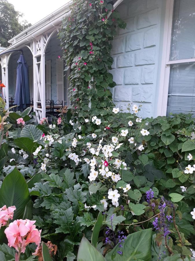 Adley House Bed & Breakfast Oudtshoorn Dış mekan fotoğraf